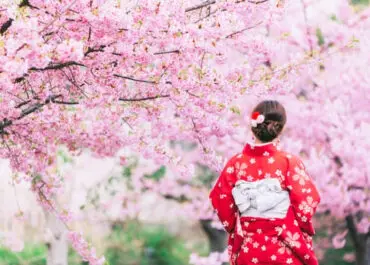 Sakura Zamanı Japonya Turu